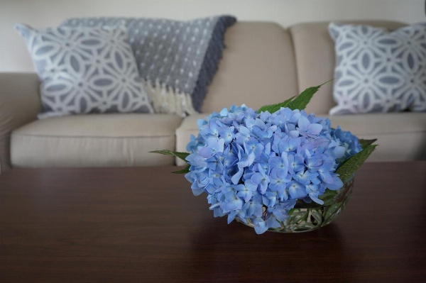 Chatham Tides image 6