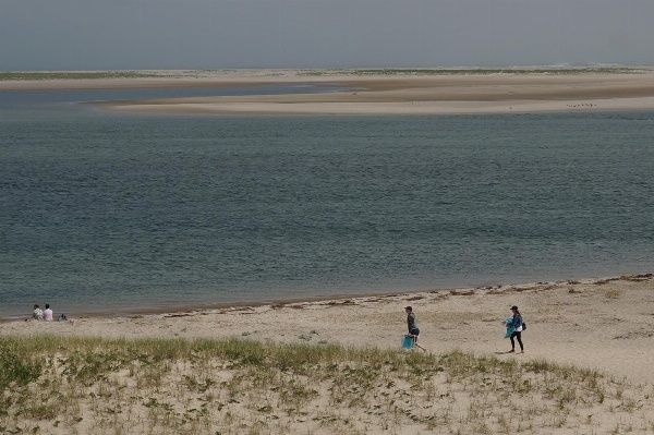 Chatham Tides image 7